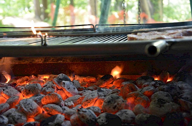 Piknik Lokovica 2015